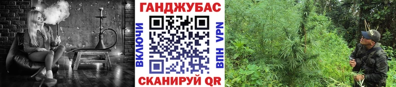 Марихуана сатива MEGA Вуктыл как найти наркотики